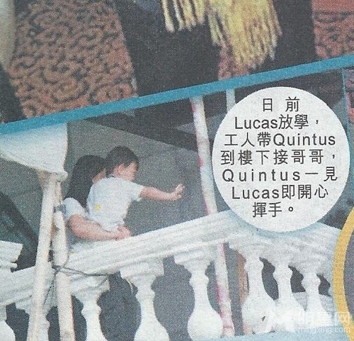 “锋芝”两爱子友爱羡煞旁人 小Q接Lucas放学欣喜若狂