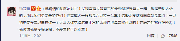 钟楚曦回怼网友