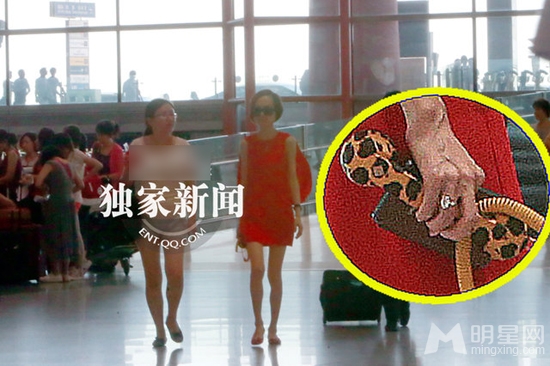 陈鲁豫黑超秀鸽子蛋钻戒 疑与新欢好事将近