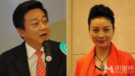 赵忠祥白岩松朱军 盘点10大央视名嘴妻子的神秘背景