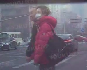 车晓恋情疑曝光 与神秘男子牵手返回家中