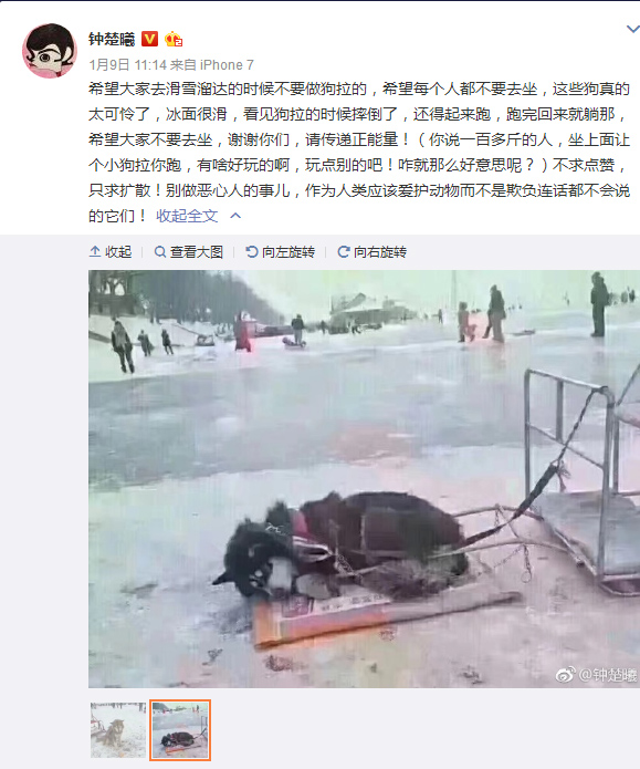 钟楚曦呼吁拒绝狗拉雪橇 回怼网友：我爱发啥发啥