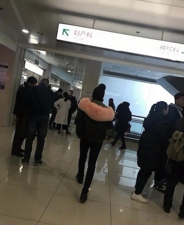海清否认怀二胎：没有的事儿