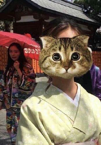 网友偶遇杨幂日本赏樱花 穿和服露纤细美腿超仙