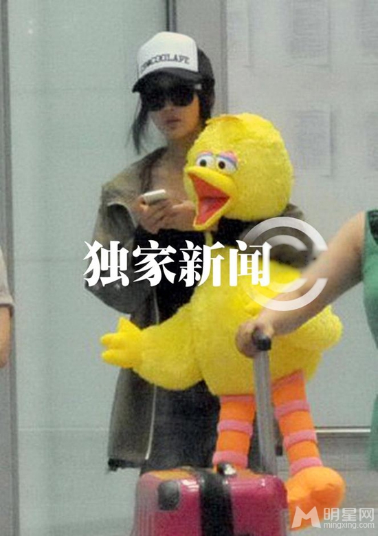 张歆艺抱大黄鸭返京 同男友杨树鹏机场激吻