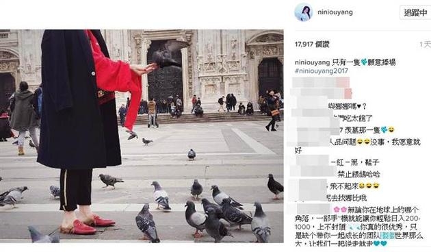 欧阳妮妮分享广场喂鸽照