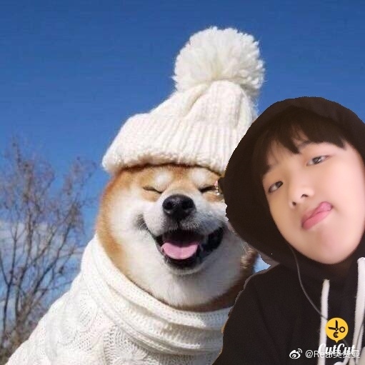 费曼P图作品