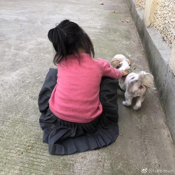 小花妹妹蹲下抚摸小狗
