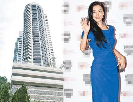 印佣盗张柏芝49万元财物被判一年半
