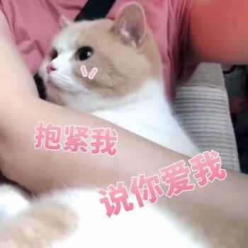 找歌达人教你用QQ音乐听歌识曲，和好音乐不期而遇