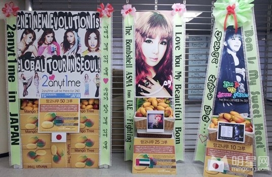韩国组合2NE1首演 粉丝大力推送应援花环