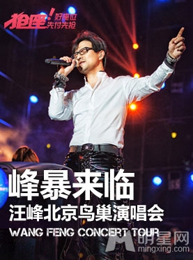 汪峰2014“峰暴来临”-“新途观感悟之旅”北京鸟巢演唱会