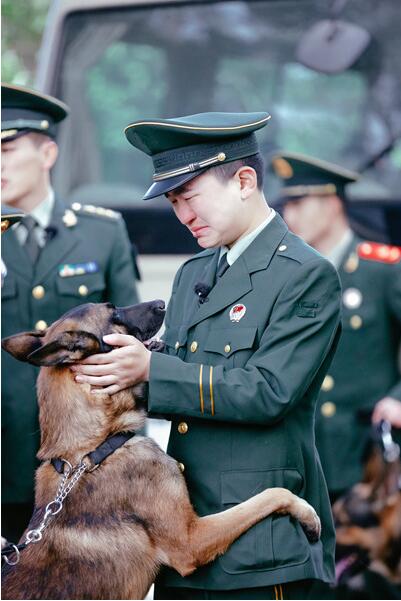 奇兵神犬收官 张大大含泪告别小小