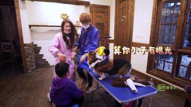 张雪迎现身《萌宠小大人》，曾舜晞“撩妹”新技能献殷勤