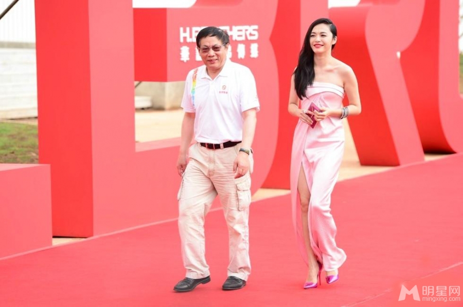 华谊20周年庆典众星云集冯绍峰宋丹丹带伤出席_图-23
