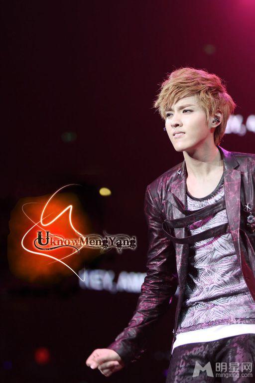 吴亦凡2012年美国洛杉矶SMTOWN演唱会帅气开嗓_图-14