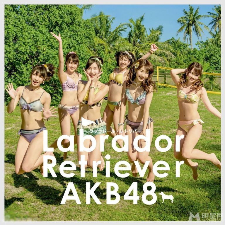 AKB48清凉写真青春活力不可挡_图-5