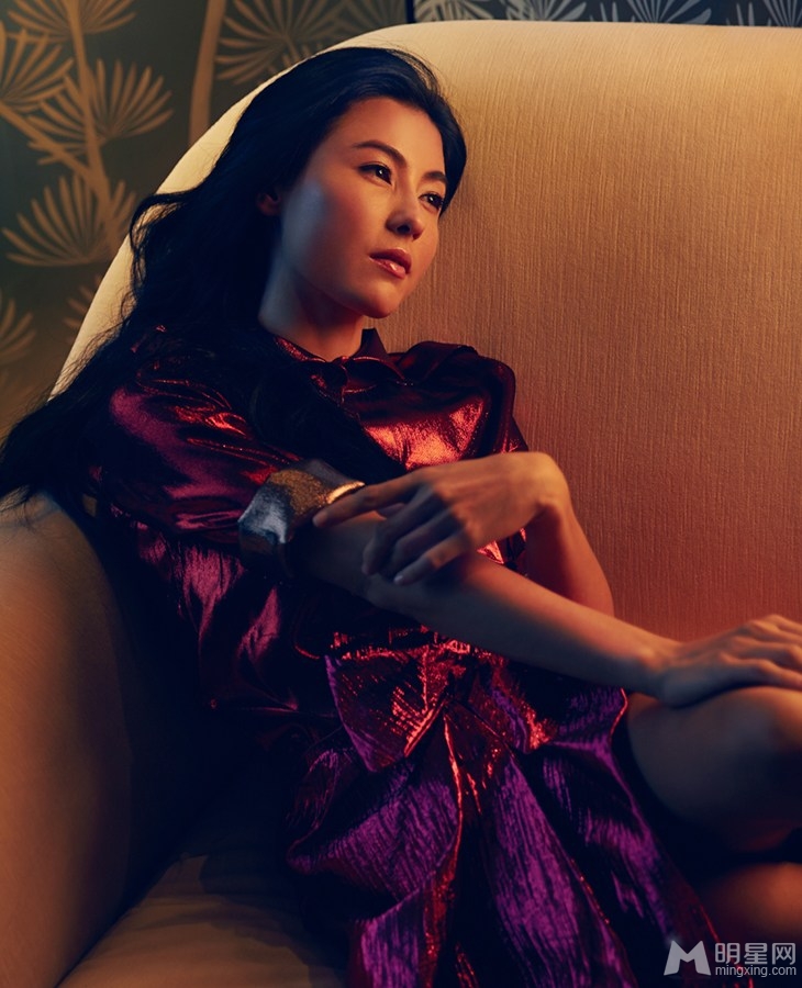 张柏芝魅惑登封面倒挂秀美腿_图-4