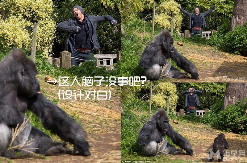 明星网巨献:一周恶搞图冯小刚不雅举止遭偷拍_图-9