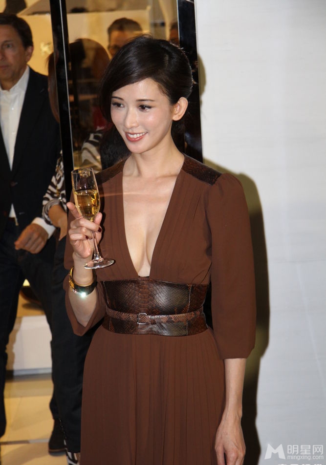 高圆圆林志玲同台比美女神间的较量_图-9