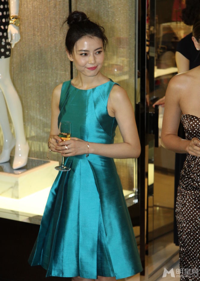 高圆圆林志玲同台比美女神间的较量_图-10