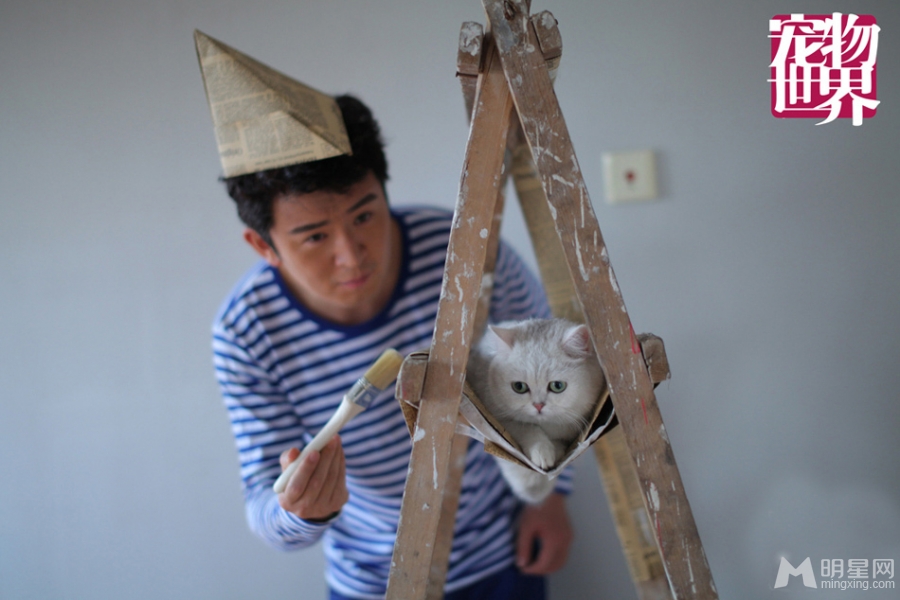 郭家铭携萌猫拍时尚大片俏皮与萌猫惬意互动_图-15