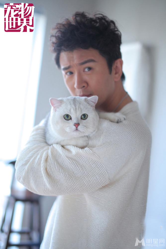 郭家铭携萌猫拍时尚大片俏皮与萌猫惬意互动_图-4
