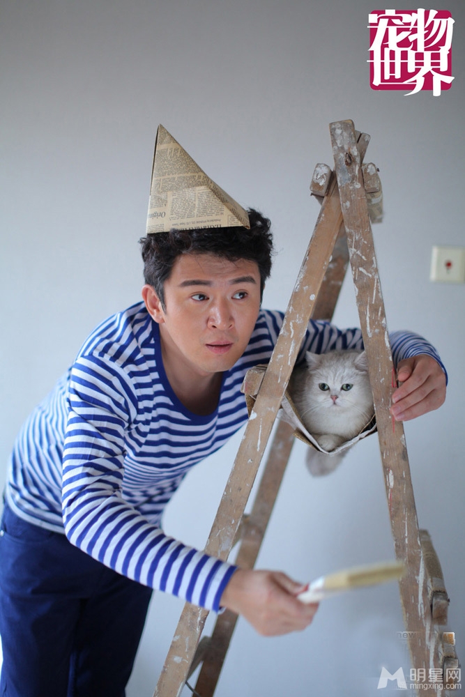郭家铭携萌猫拍时尚大片俏皮与萌猫惬意互动_图-8