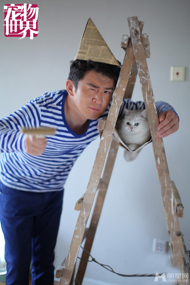 郭家铭携萌猫拍时尚大片俏皮与萌猫惬意互动_图-7