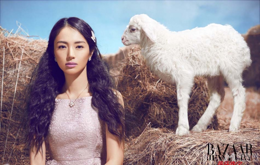 董璇杂志大片曝光唯美浪漫梦幻动人_图-8