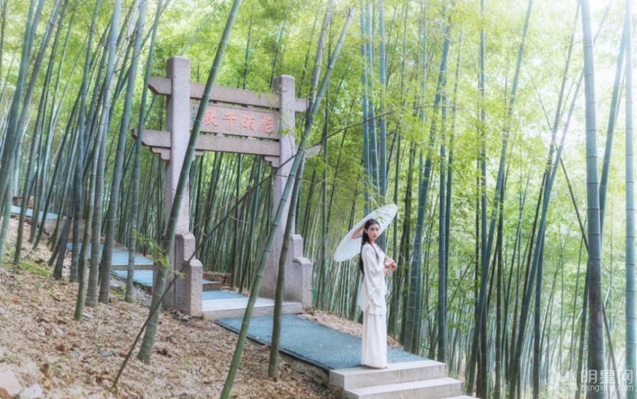 张辛苑唯美写真曝光白衣出镜宛若仙子_图-5