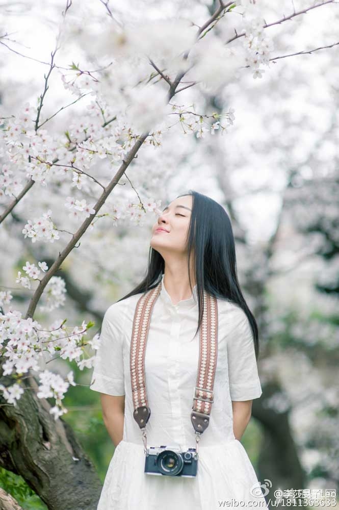 武大再现全能女神李莎旻子樱花写真完胜黄灿灿_图-7