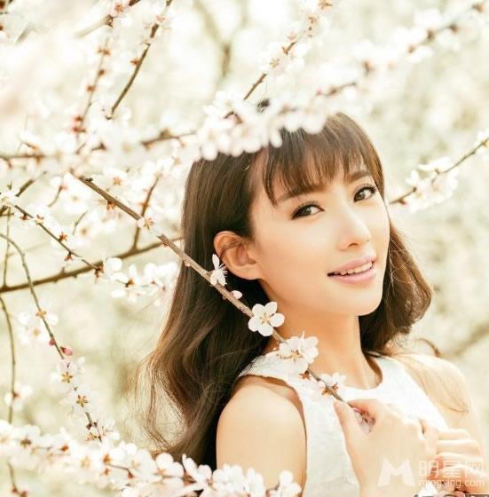 刘萌萌花海迷人写真唯美恰似当年“诺澜”_图-1