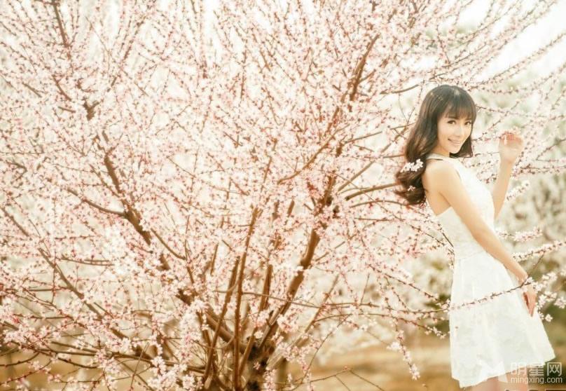 刘萌萌花海迷人写真唯美恰似当年“诺澜”_图-7