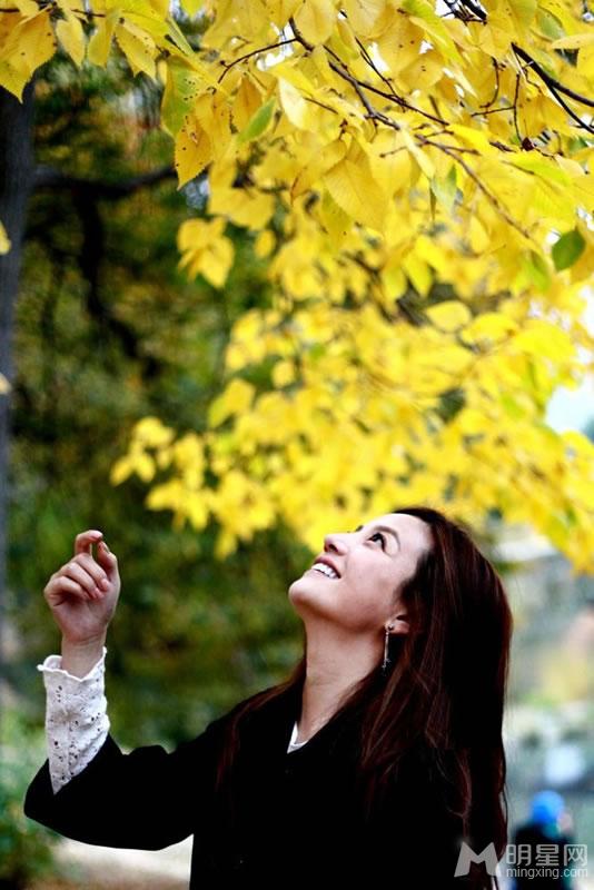 赵薇独家写真叹赵薇的美丽与哀愁_图-3