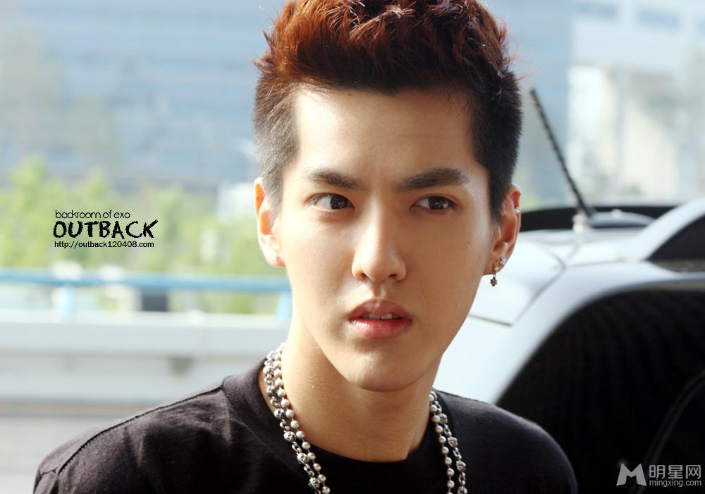 2013年6月EXO韩国金浦飞往北京机场写真吴亦凡图片_图-11
