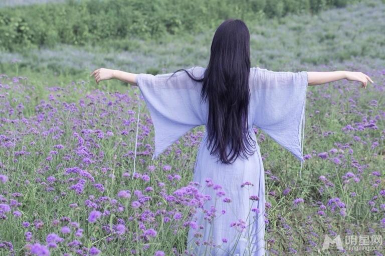 张馨予薰衣草田写真清新高雅似花仙子_图-5