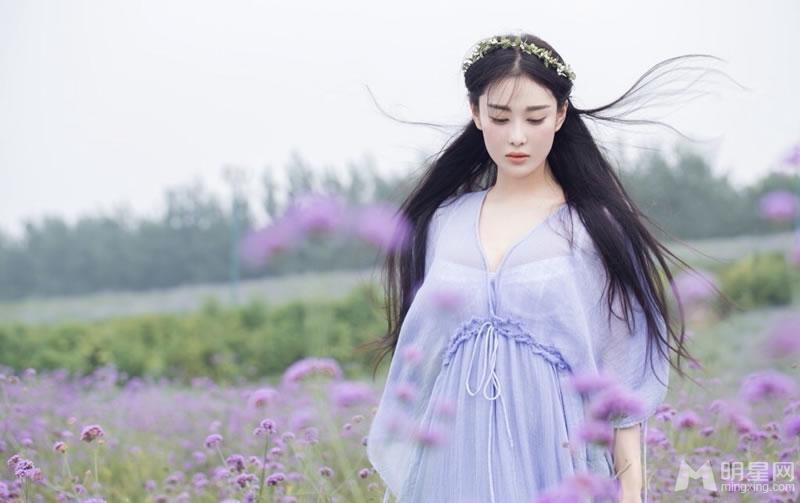 张馨予薰衣草田写真清新高雅似花仙子_图-3