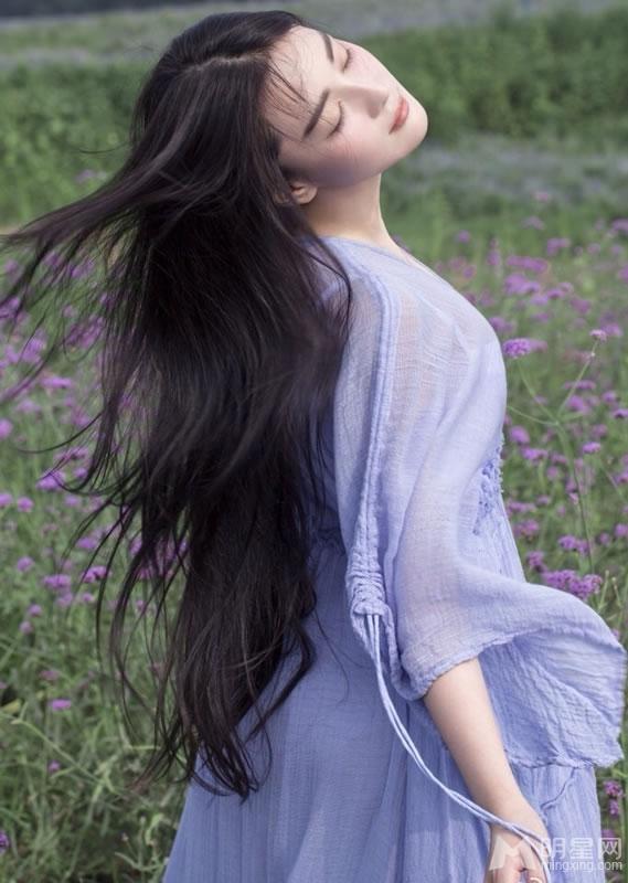 张馨予薰衣草田写真清新高雅似花仙子_图-4