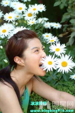 范冰冰早期个人写真婴儿肥未见美人尖_图-13