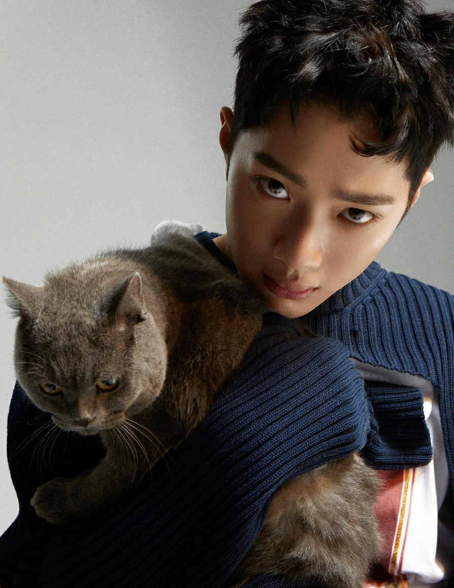 赖冠霖写真出炉猫系少年温柔优雅_图-4