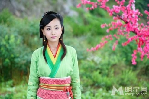 林依晨赵丽颖杨幂刘诗诗荧幕花旦收视大盘点_图-11