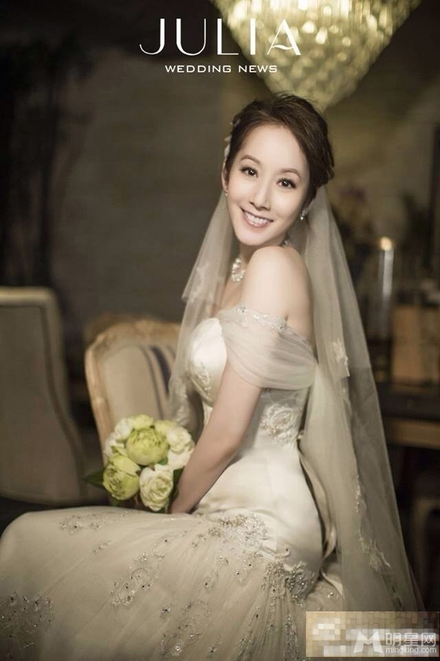 许慧欣晒婚纱照唯美出镜却不见老公身影_图-4