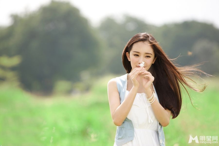 刘诗诗杨幂郑爽谁是最受欢迎的宅男女神_图-12