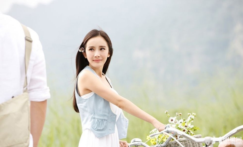 刘诗诗杨幂郑爽谁是最受欢迎的宅男女神_图-13