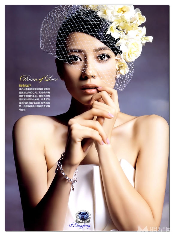 马年欲结婚女星婚纱PK最美新娘花落谁家_图-14