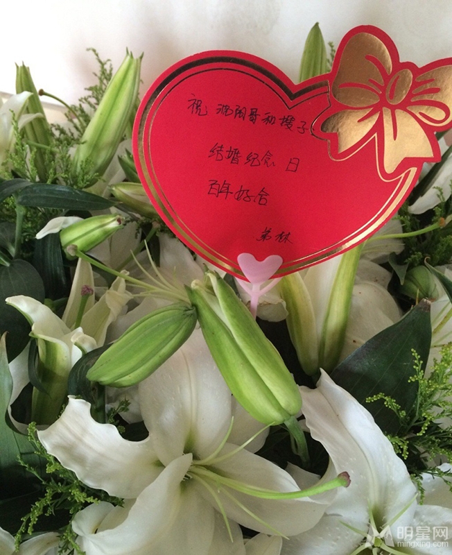 小沈阳结婚纪念日微博秀与妻恩爱照_图-4