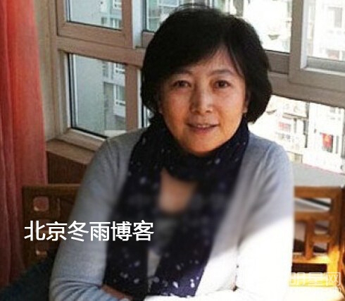 陈道明妻子杜宪近照曝光恬静淡然显大气_图-4