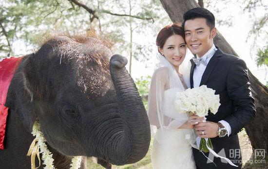 陈赫结婚照全曝光文章何炅谢娜娄艺潇齐祝福_图-13
