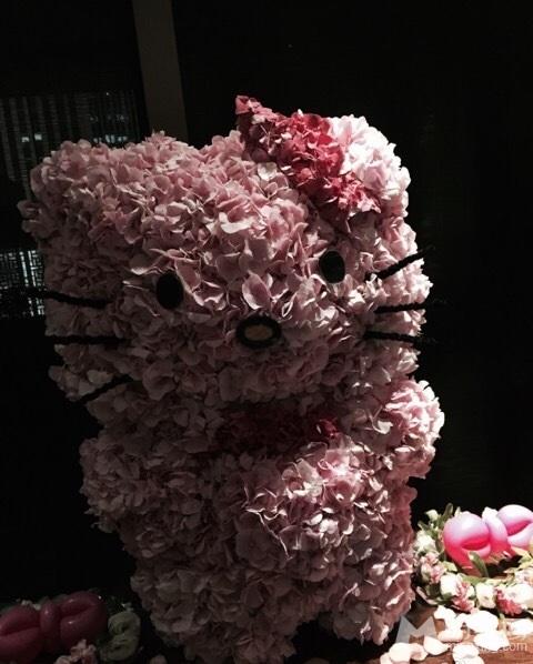 范冰冰生日会少女心李晨献吻获家长认可_图-14